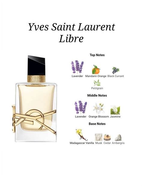 scents similar to ysl libre|ysl libre fragrance notes.